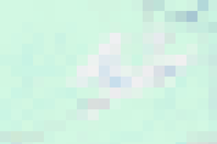 Image 30
