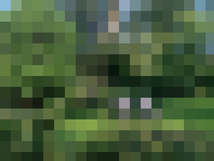 Image 35