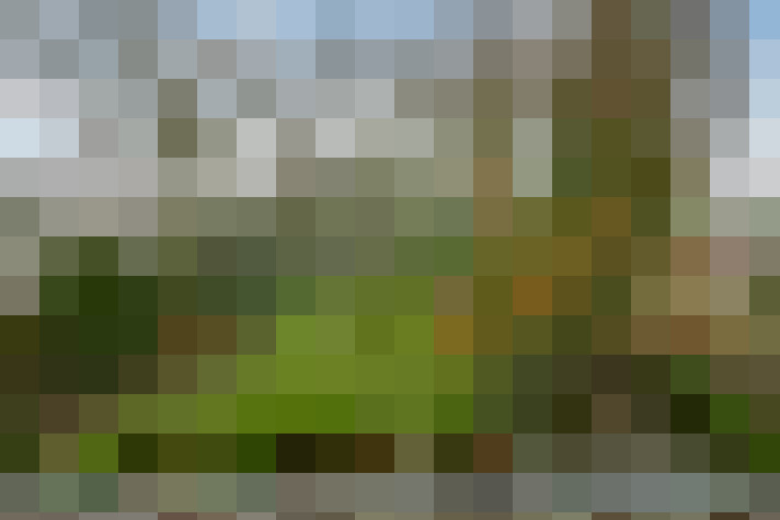 Image 40