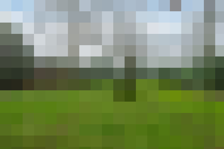 Image 39