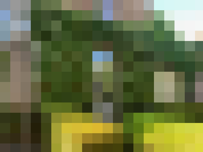 Image 37