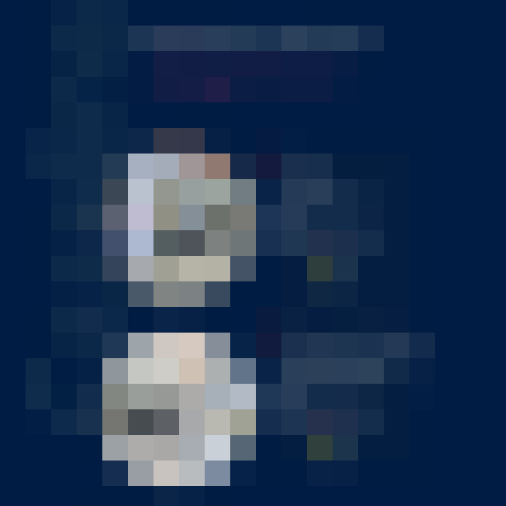 Image 15