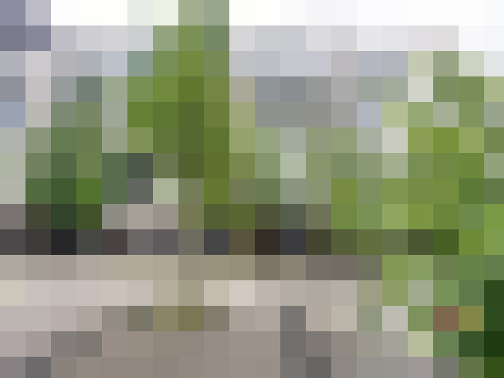 Image 13