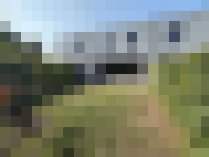 Image 25