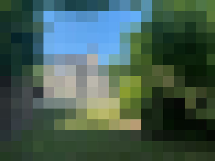 Image 23