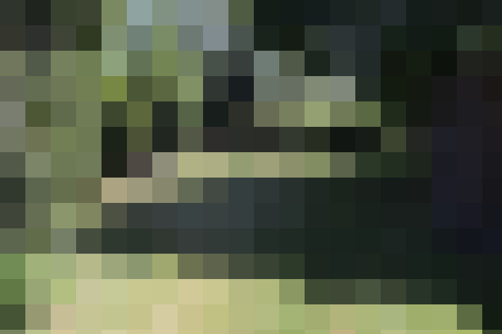 Image 22
