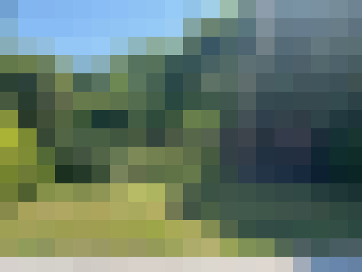 Image 20