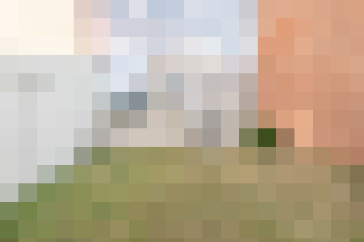 Image 20