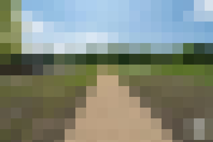 Image 14