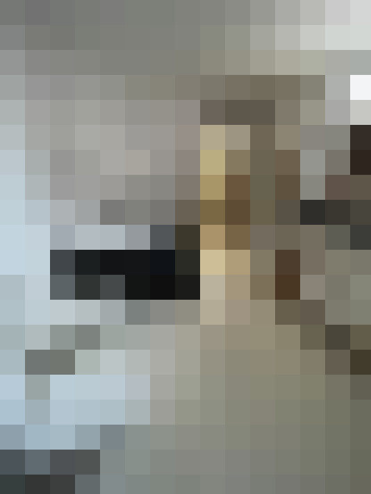 Image 17