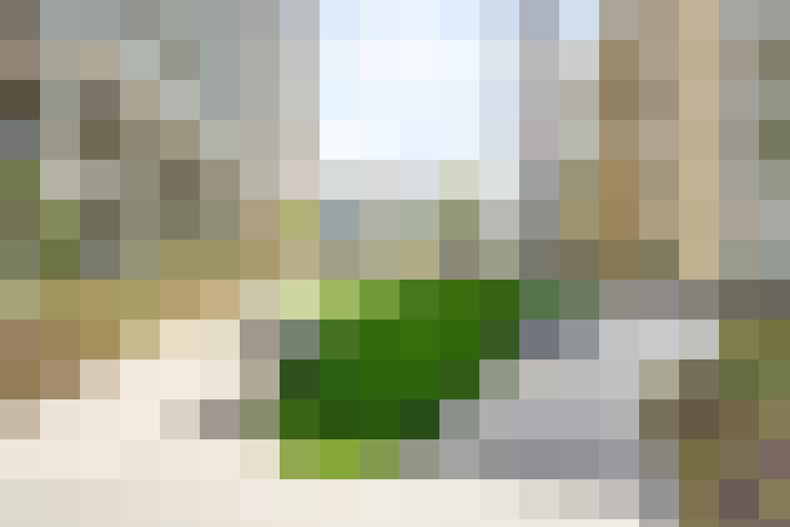 Image 16