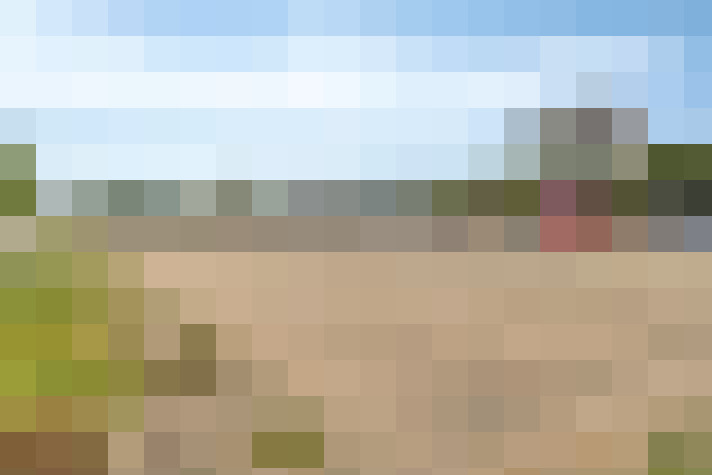Image 20