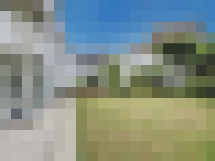Image 17