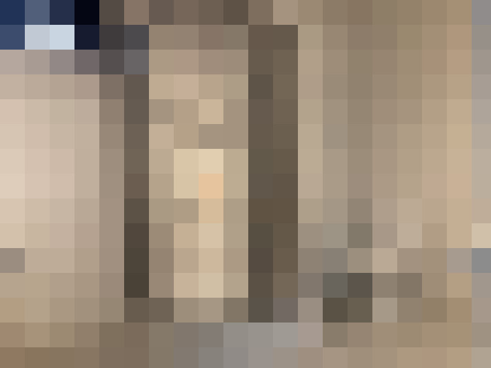 Image 15