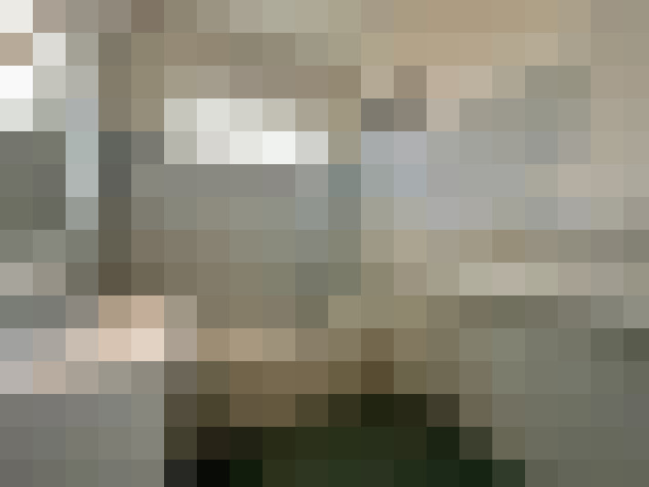 Image 13