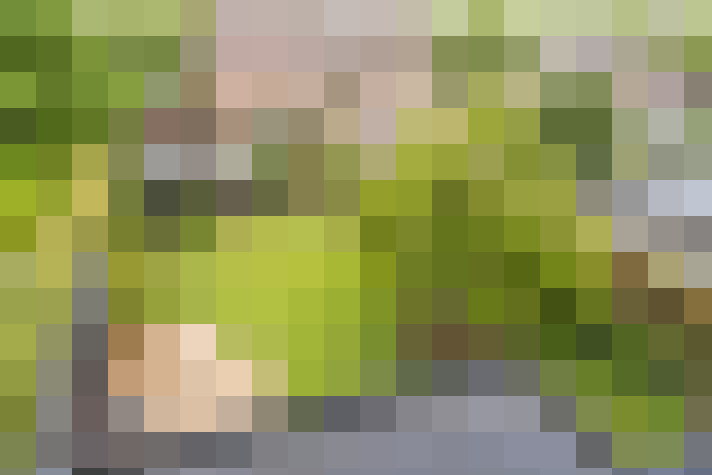 Image 20