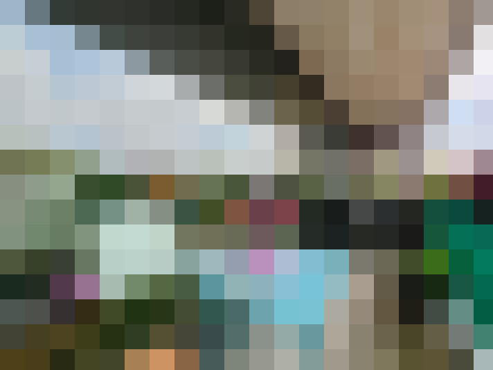 Image 25