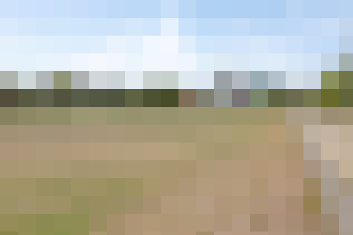 Image 20