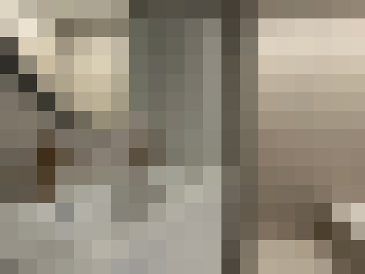 Image 20