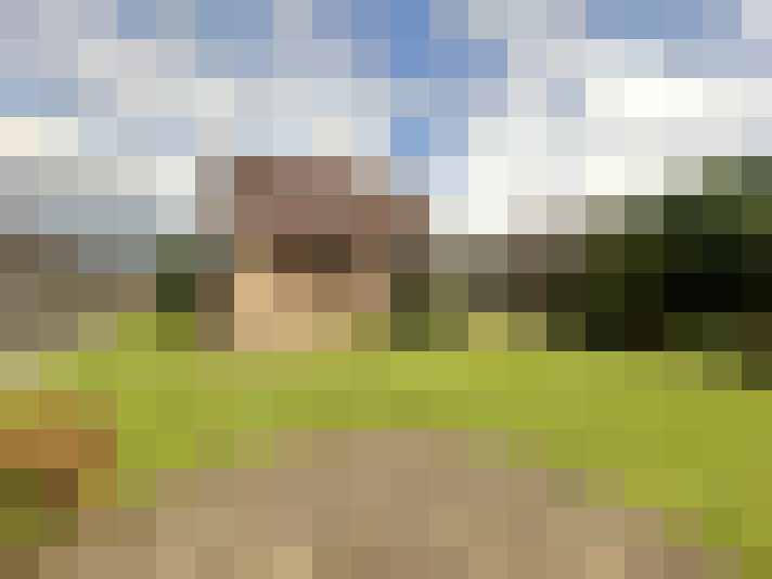 Image 14
