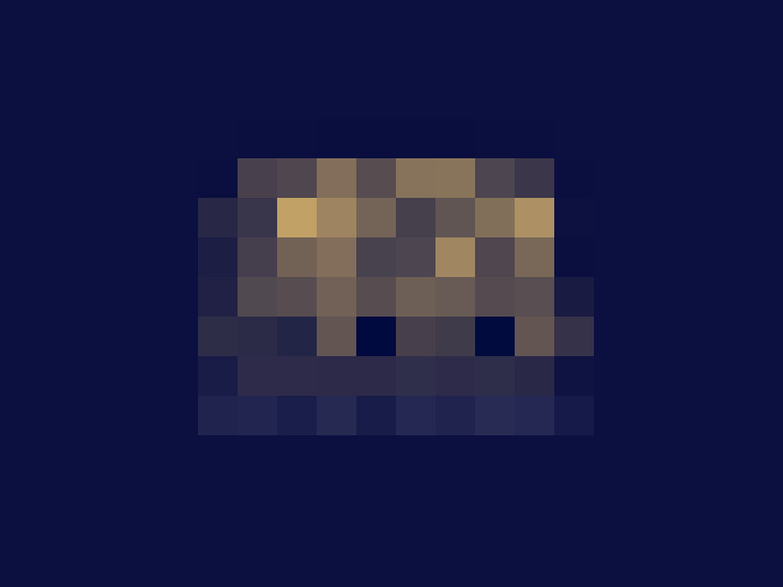 Image 17