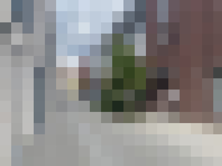 Image 15