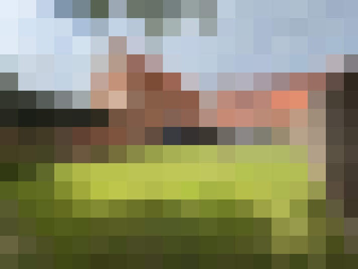 Image 15