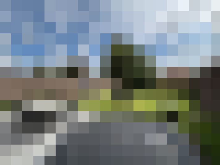 Image 13