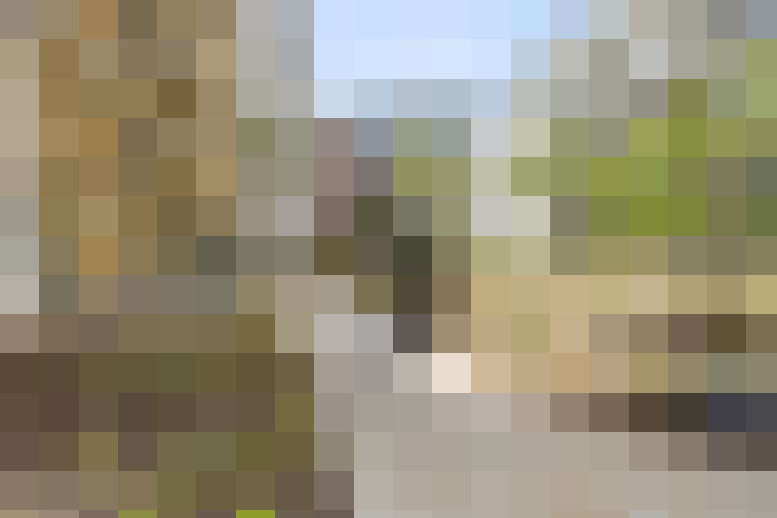 Image 16
