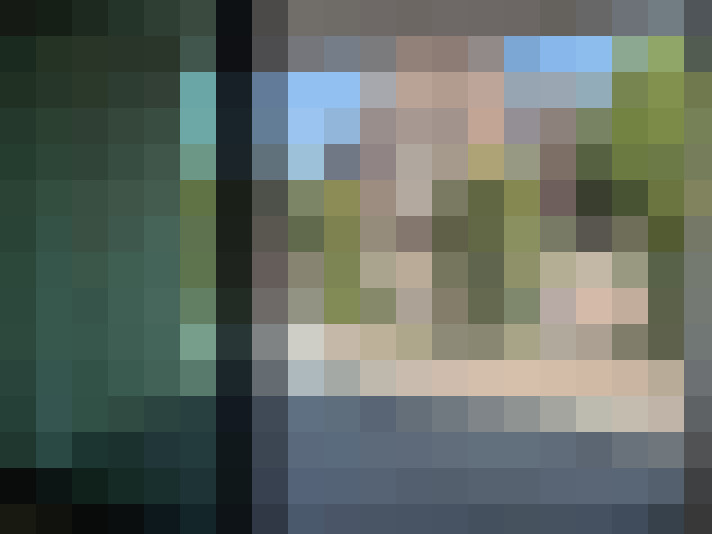 Image 17