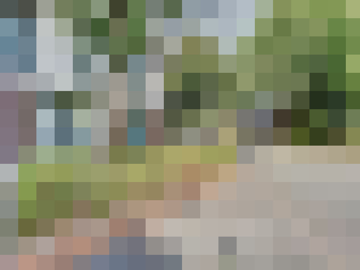 Image 13
