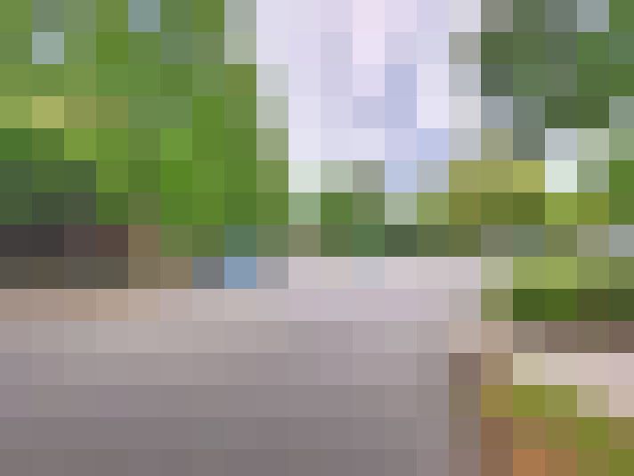 Image 14