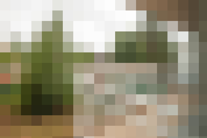 Image 23