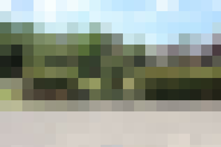 Image 16