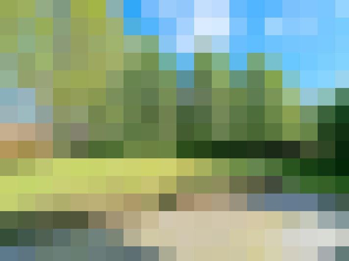 Image 25