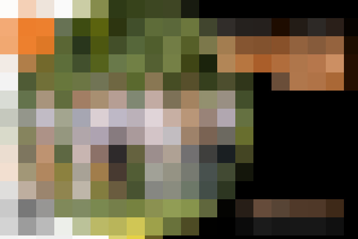 Image 15