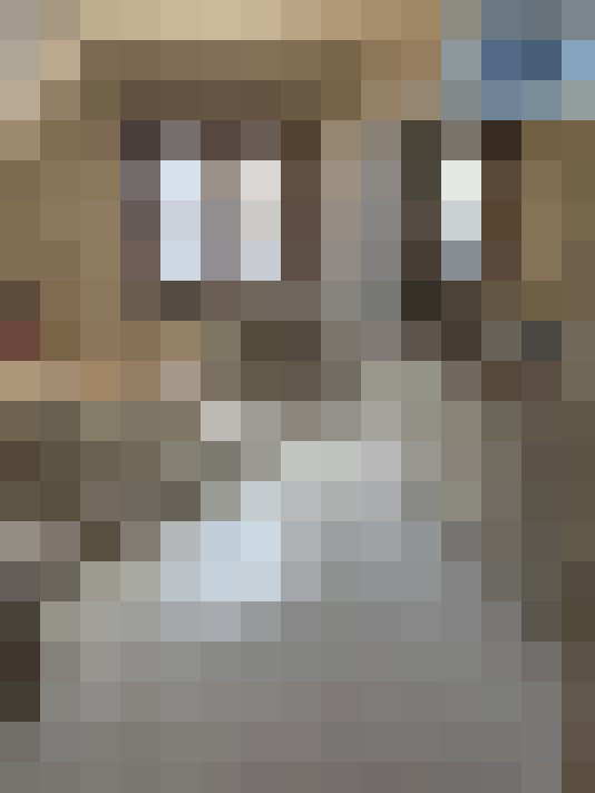 Image 13
