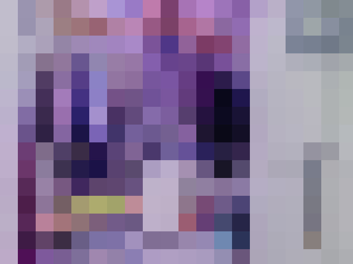 Image 13