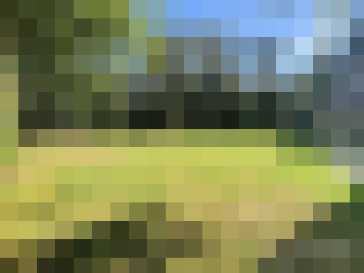 Image 36
