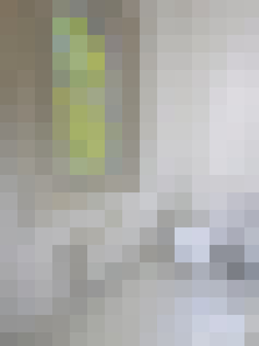 Image 29