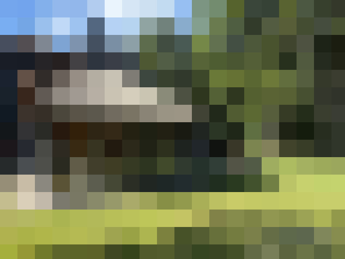 Image 31