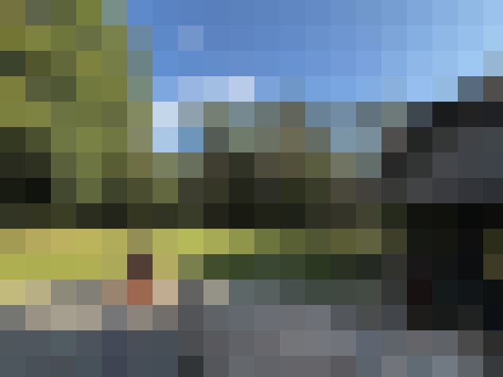 Image 35