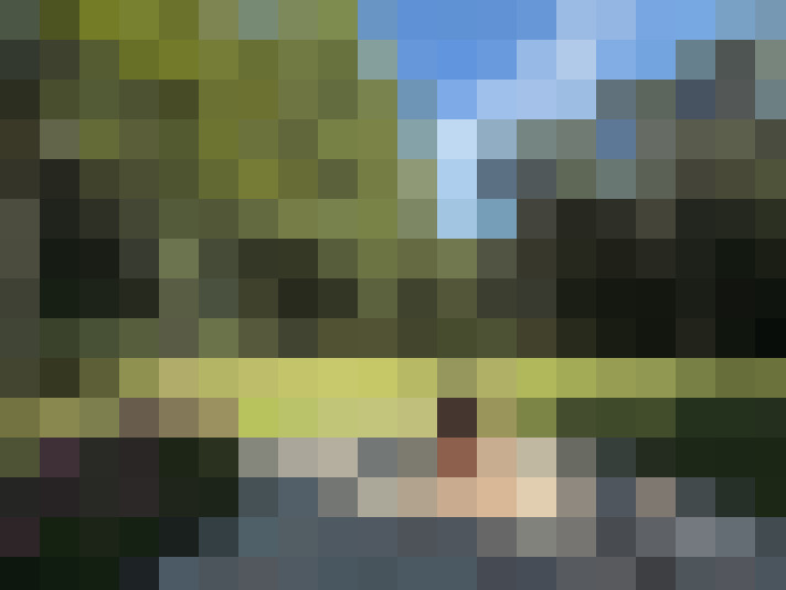 Image 34