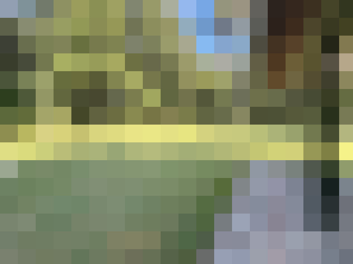 Image 37