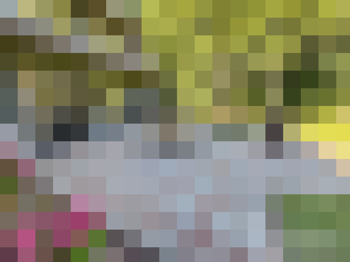 Image 32