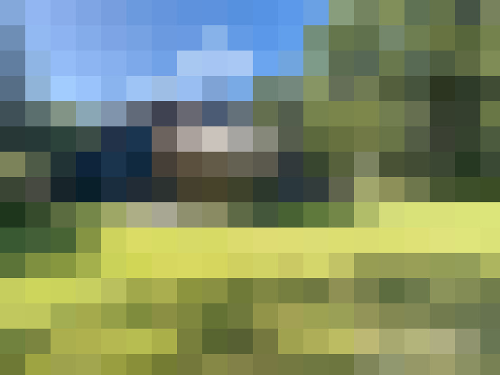 Image 30