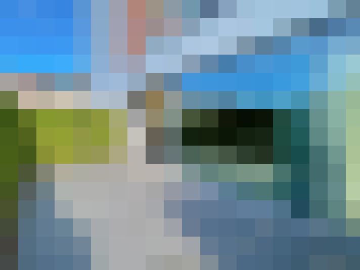Image 25