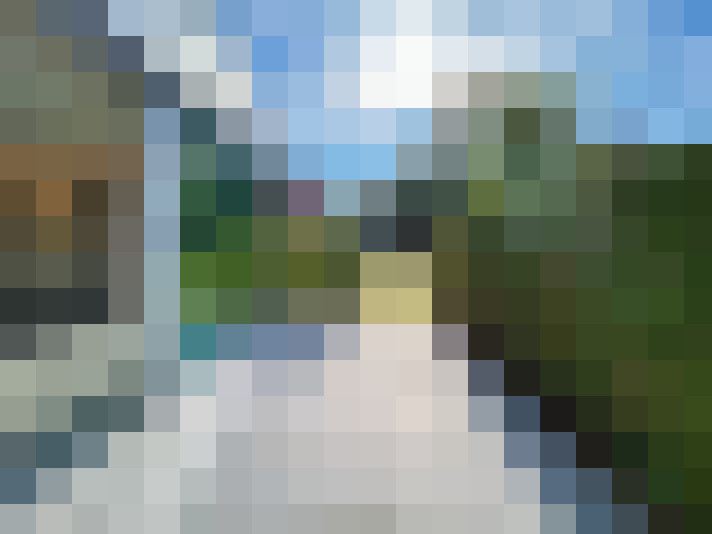 Image 24
