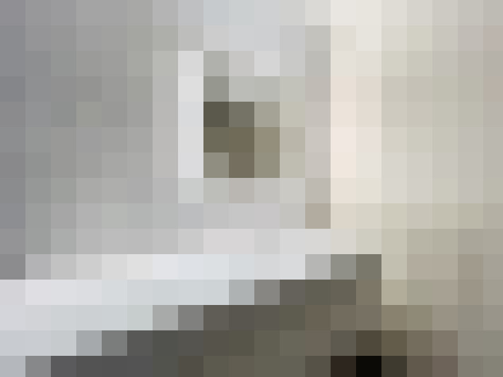 Image 20
