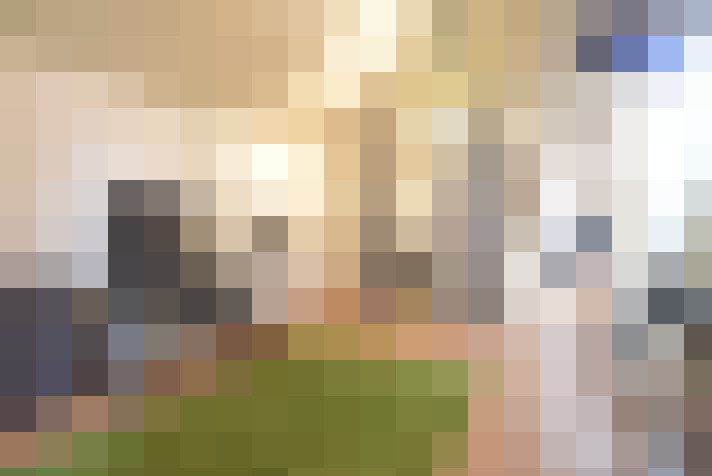 Image 24